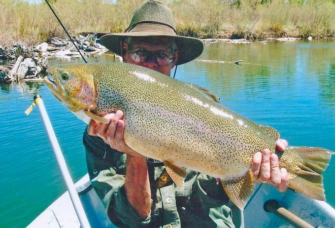 Fly Fishing - Visit Rio Grande County Colorado