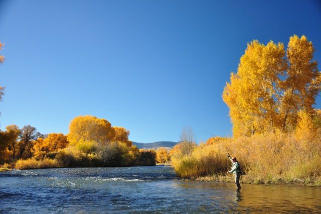 Fly Fishing - Visit Rio Grande County Colorado