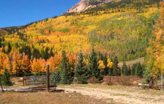 Aspen Groves Fall Colors Visit Rio Grande County
