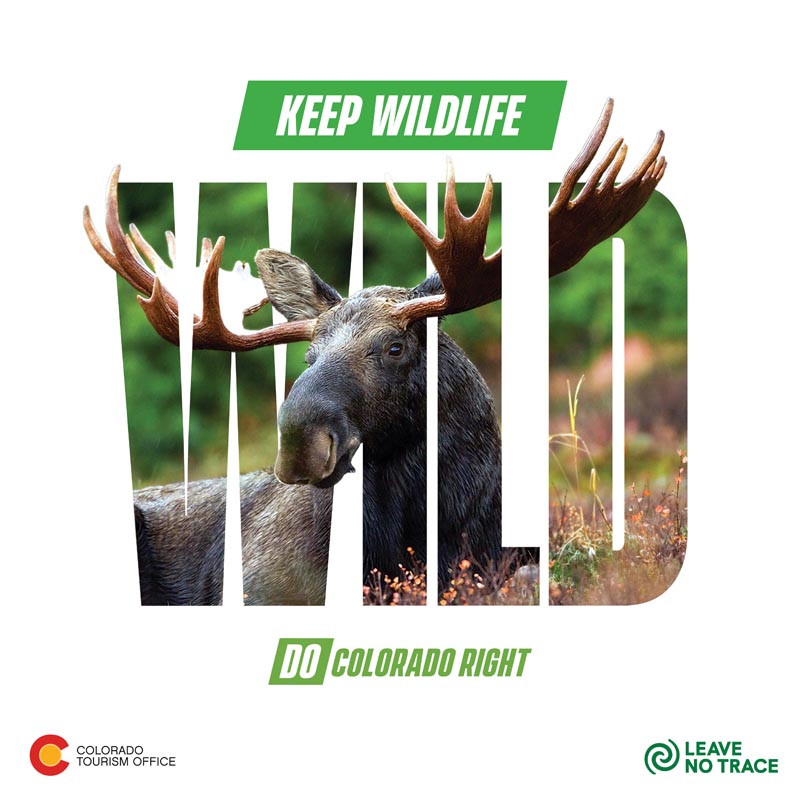 Keep Wildlife wild Care for Colorado principle